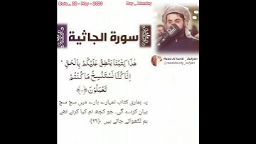 Quran Whatsapp status with Urdu translation/ رعد الكردي حالات واتس اب / سورة الجاثية رعد الكردي