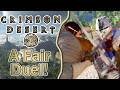 A Fair Duel! - Blind Let's Play Crimson Desert Ep. 2