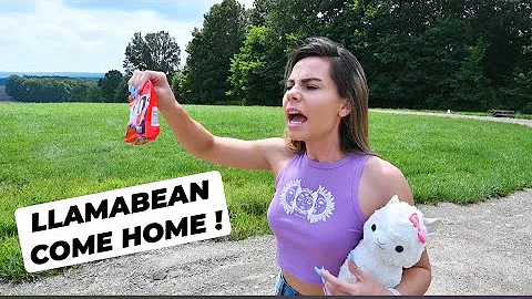MY LLAMA RUNS AWAY !! MISSION FIND LLAMABEAN !! *s...