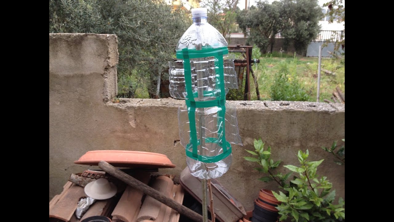 Come Spaventare Topi, Uccelli, Talpe dall'Orto con una Bottiglia