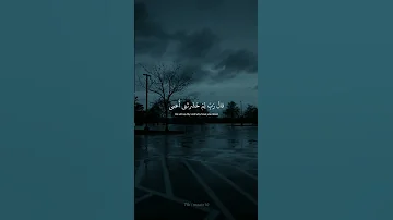 ومن اعرض عن ذكري فإن له معيشة ضنكا حالات واتس اب قرآن كريم إسلام صبحي 