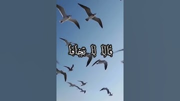 #قران_كريم #سورة_طه قال لا تخافا انني معكما