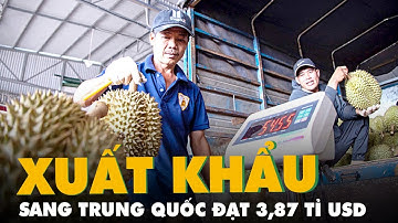 Tin tức sáng 15-2: Trung Quốc là đối tác  kim ngạch xuất nhập khẩu đạt 10 tỉ USD trong tháng 1