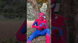 Spider Man Defeat Pacman
