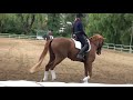 How I warm up my horse...