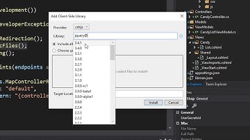 Creating ASP.Net Core 3.0 e-Shop: Adding Bootstrap 18/39