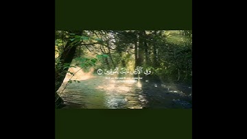 #quran #المصحف #قرآن_كريم #آيات #راحة_نفسية #تلاوة 🌏