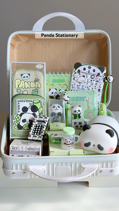 ASMR Panda Stationary Suitcase Unboxing 🌷✨#panda #stationary #stationery #trending