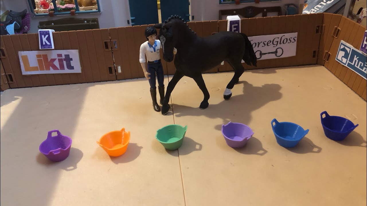 [VLOG] Mon cheval contrôle ma journée ?!