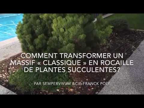 Vidéo: Succulentes dans une rocaille : planter une rocaille avec des plantes succulentes