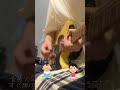 始めたてと5年目の感じ方の違い #ギター #ギター練習 #guitar #ギター初心者
