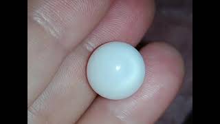 16ct Magnificent Clam Pearl Button