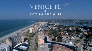 Welcome to venice, fl: city on the gulf. venice is a small town with
big amenities and unique architecture. take tour of our downtown
natural land...