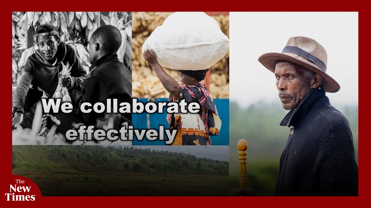 In Gatsibo, refugees and citizens forge farming cooperative to uplift livelihoods