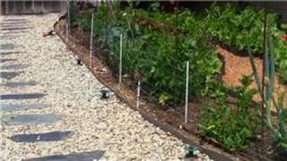 Vegetable Gardening : How Do I Keep Raccoons out of Vegetable Gardens?
