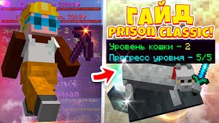 ГАЙД И РЕАКЦИЯ ПО *НОВОМУ РЕЖИМУ* PRISON CLASSIC!! Minecraft Prison | DiamondWorld