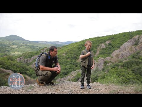 #ამშაბათკვირას რეინჯერი ბავშვი