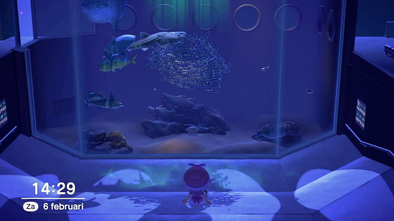 ASMR Animal Crossing aquarium in museum relaxing no talking / geen