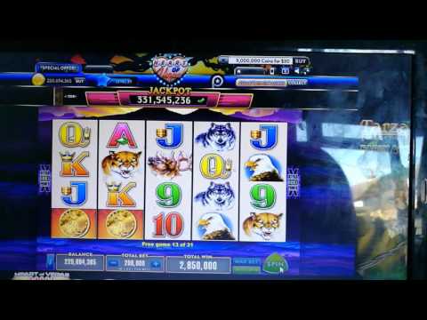 Little shop horrors big win at max bet at Barona Casino 😳