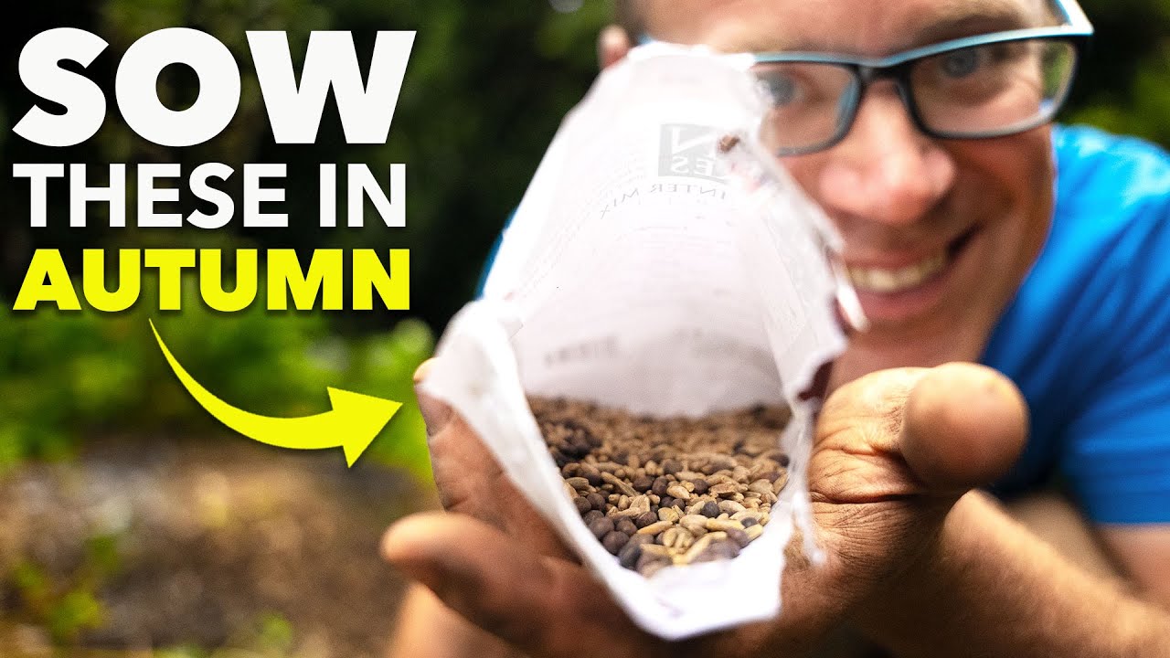 You Must Sow These Seeds in Autumn thumbnail