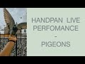 Handpan performance session - PIGEONS