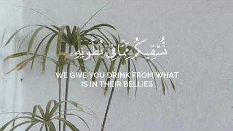 والله أنزل من السماء ماء | القارئ الشيخ محمد اللحيدان