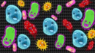 Quorum Sensing