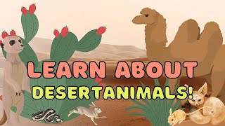 Discover desert animals! Fun flashcards and videos help kids learn about life in the desert