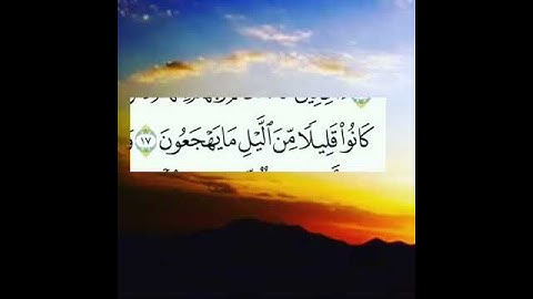 {كَانُوا قَلِيلًا مِّنَ اللَّيْلِ مَا يَهْجَعُونَ (17) + (18) } بصوت القارئ انس شهاب