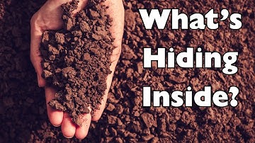 Looking For Cool Rocks In Dirt From A Mine #gems #mining #sluice #rocks #quartz