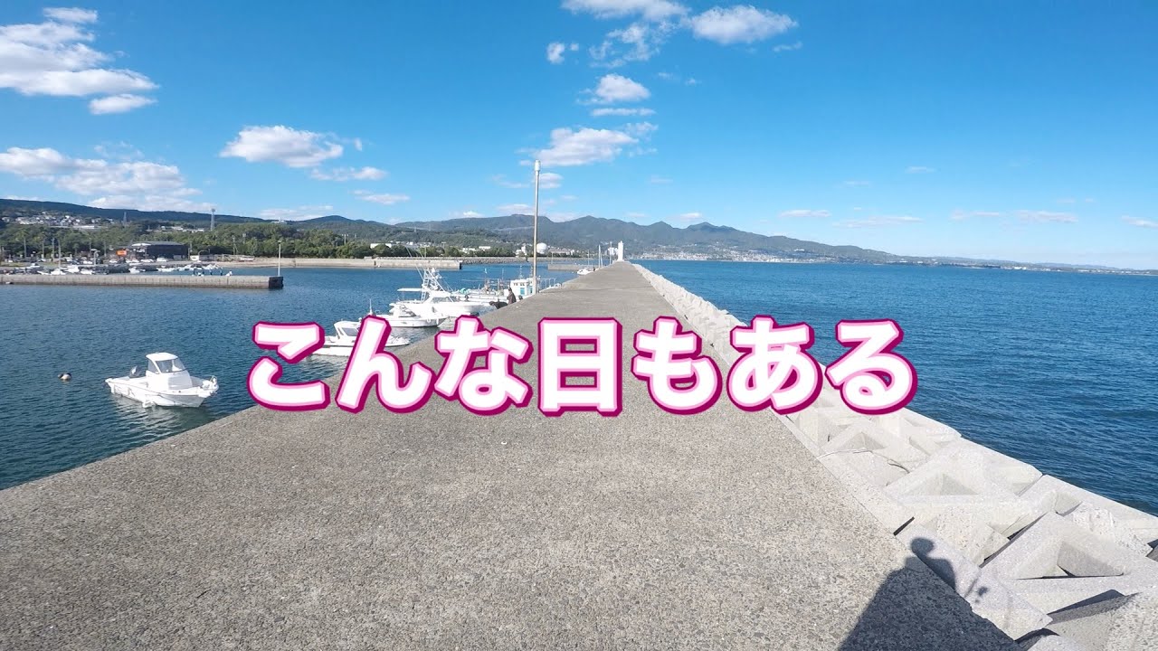 これが現実 YouTube