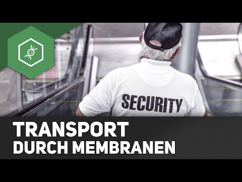 Video: Sind Aquaporine aktiver Transport?