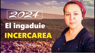 EL INGADUIE INCERCAREA 🔴 CORINA MOLDOVAN (𝑶𝒇𝒇𝒊𝒄𝒊𝒂𝒍 𝑽𝒊𝒅𝒆𝒐)