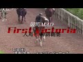 【競馬MAD】 Take My Hand 〜あの日のあなたに憧れて〜 【人馬G1初制覇】