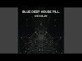 Blue deep house pill