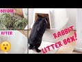 HOW TO CLEAN AND SET UP A RABBIT LITTER BOX!