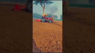 VID 20231202 WA0001
