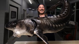 The Largest Freshwater Fish In North America