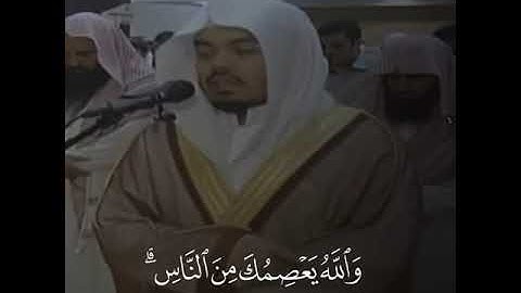 ما تيسر من سورة المائدة بصوت الشيخ ياسر الدوسري 🤍