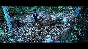 Tracker jacker scene(The Hunger Games)