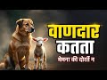 Wafadaar Kutta Ki Kahani 🐶 | Bachon Ki Moral Story | Dog Story in Hindi Urdu | Kids Story
