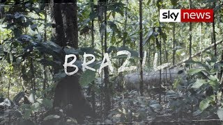 Surge in deforestation in Amazon rainforest | Hotspots