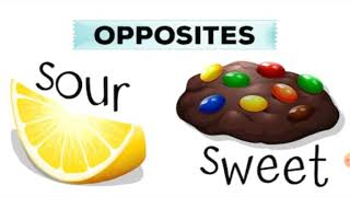 OPPOSITE WORDS. PALABRAS OPUESTAS. OPPOSITES. FLASHCARDS. Ms. Cecy.