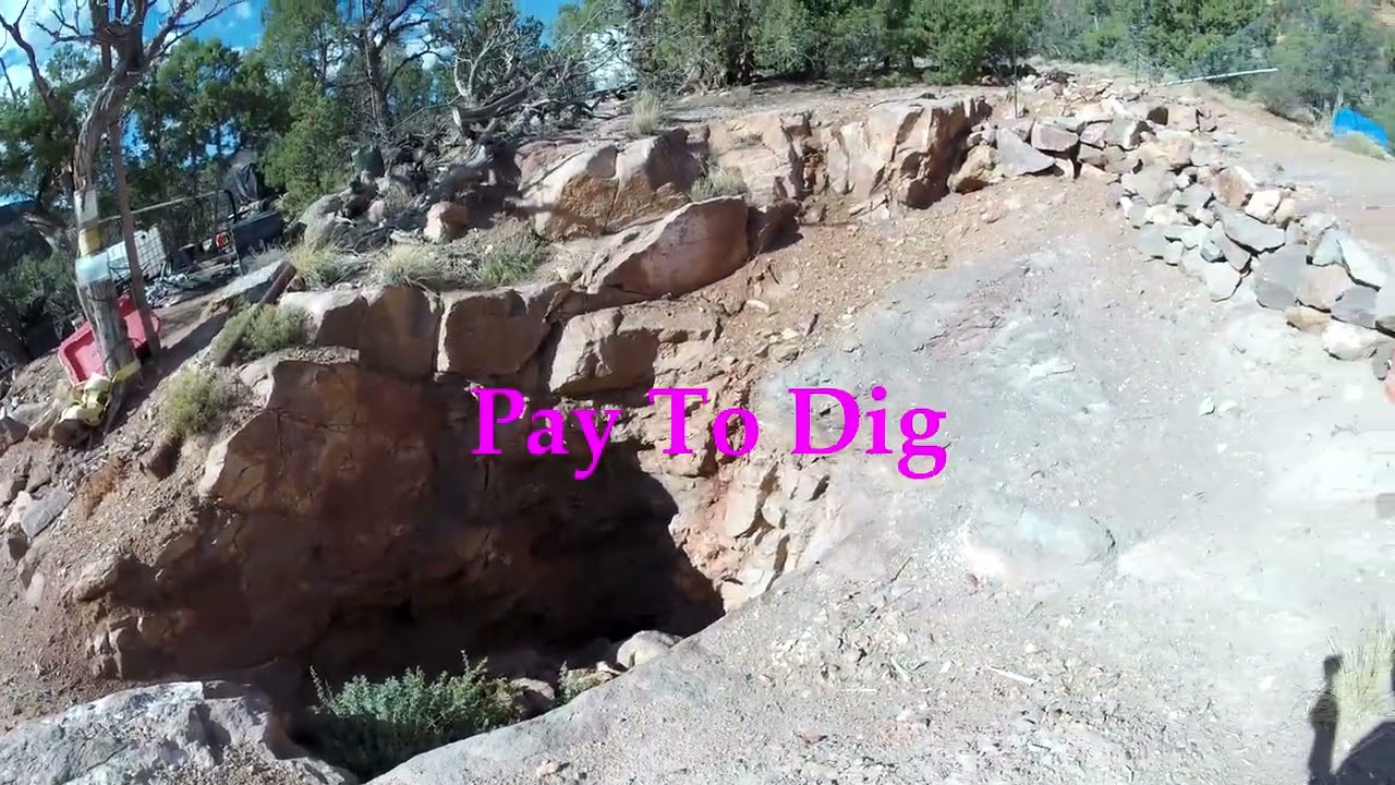 Pay - to - Dig