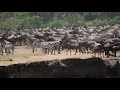 Wildebeest Crossing September 2018  Northern Serengeti  7 HOUR CROSSING! AMAZING!!