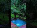#RuralLife #NatureLover #SwimmingVibes #VillageMood #PeacefulVibes