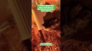 Stop Wasting Money On Snake Enclosures Try This Instead