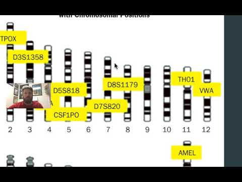 Video: Co znamená d7s820 v testu DNA?