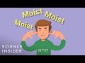 Understanding Word Aversion: The Case of 'Moist'
