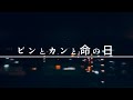 ビンとカンと命の日